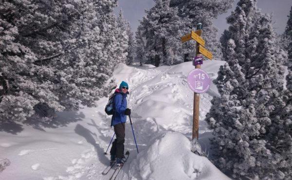 Le Flocon-Studio Cabine-Balcon 4-6 Pers A 100M Des Pistes Chamrousse Zewnętrze zdjęcie