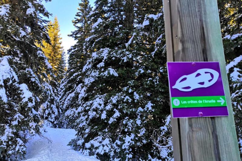Le Flocon-Studio Cabine-Balcon 4-6 Pers A 100M Des Pistes Chamrousse Zewnętrze zdjęcie